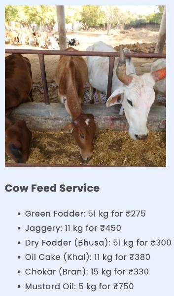 thumbnail Cow Feed Service