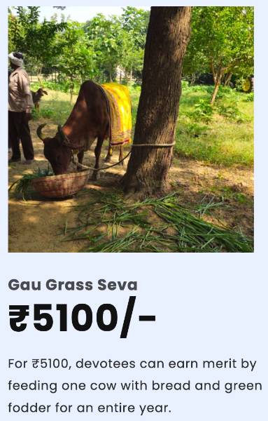thumbnail Harit Grass Seva