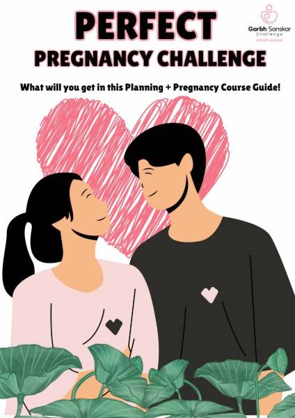 thumbnail Plan to Delivery (1Yr PPC + GSC Free)