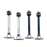 thumbnail Engine Valve TVS Apache RTR 160 4V & RTR 200 4V